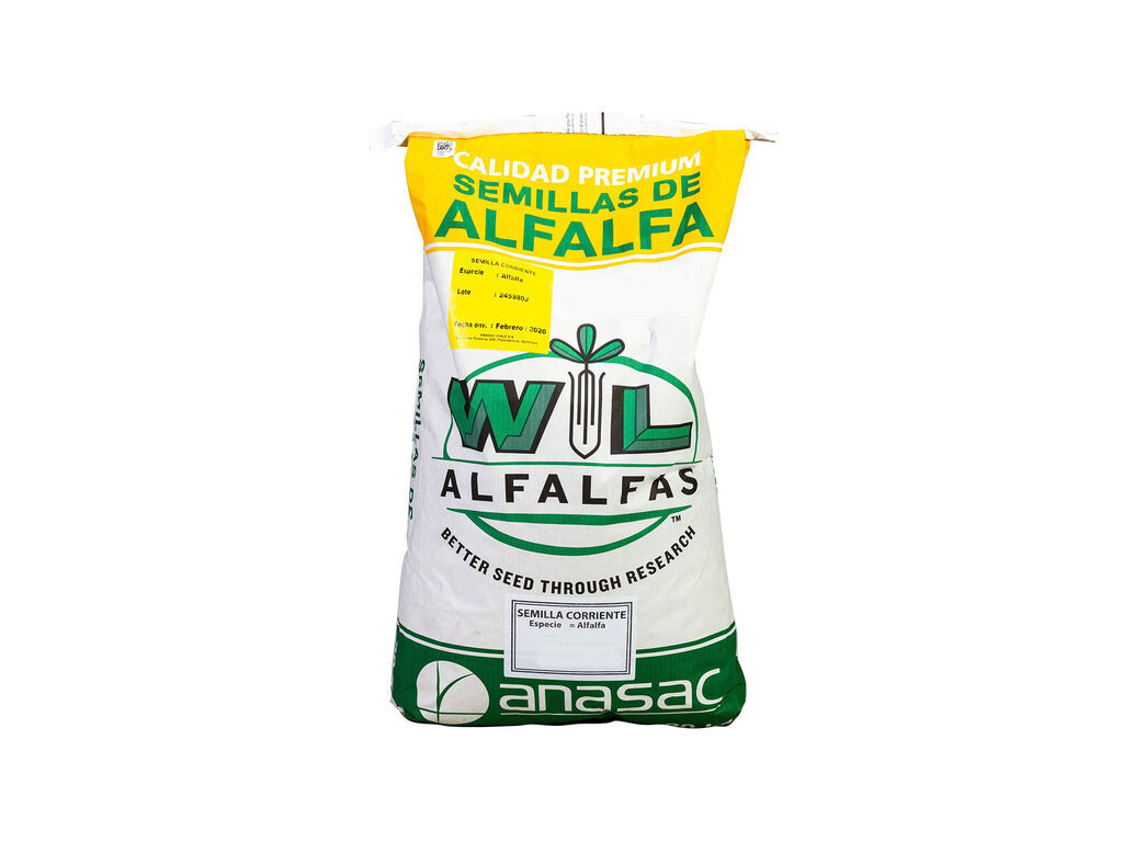 Semillas Anasac Alfalfa Wl 985 Hq 20 Kg