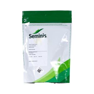 Semilla Zapallito Chacabuco - 1000 Semillas